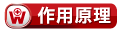 2.作用原理