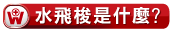 水飛梭是什麼